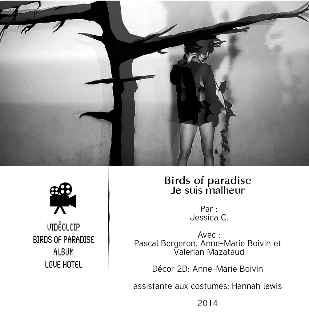 Birds of paradise_Blog.jpg